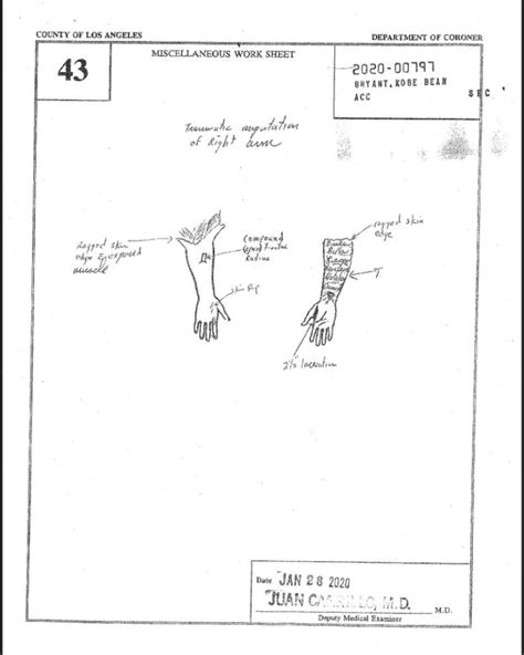 gigi bryants autopsy report|Autopsy Reports for Kobe Bryant, Daughter Gigi and 7 Victims of。